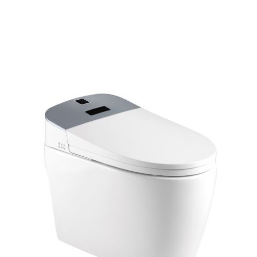 Thiết bị vệ sinh Lazion