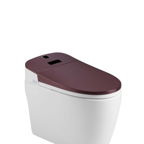 Thiết bị vệ sinh Lazion