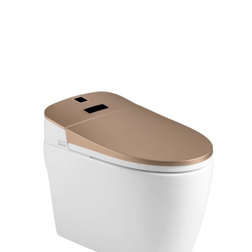 Thiết bị vệ sinh Lazion