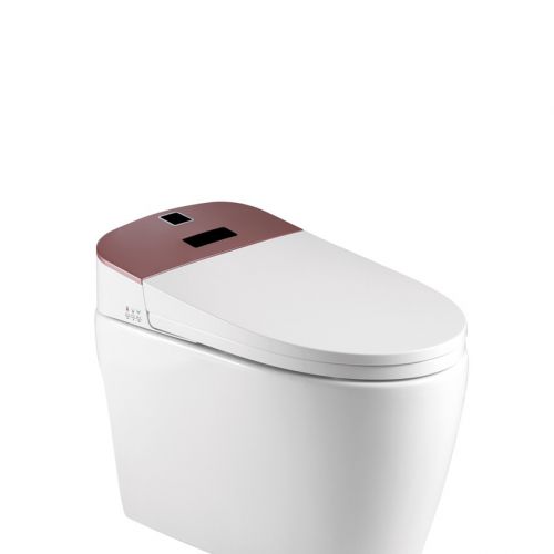 Thiết bị vệ sinh Lazion