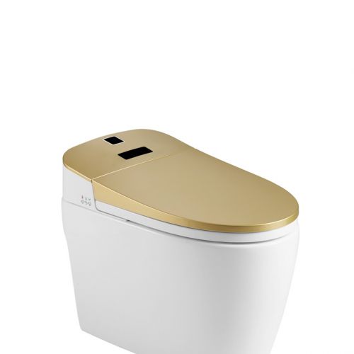 Thiết bị vệ sinh Lazion