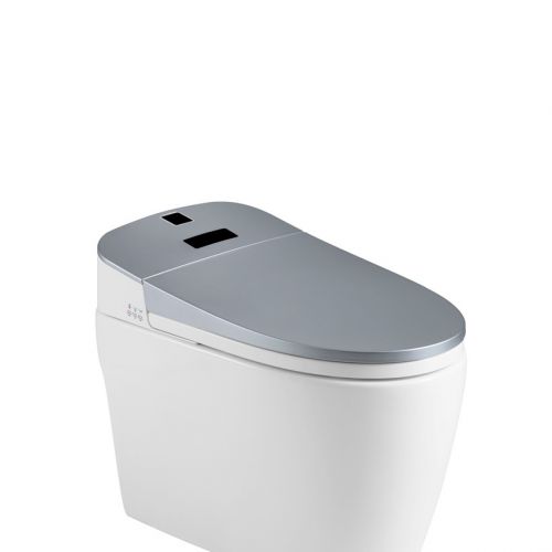 Thiết bị vệ sinh Lazion